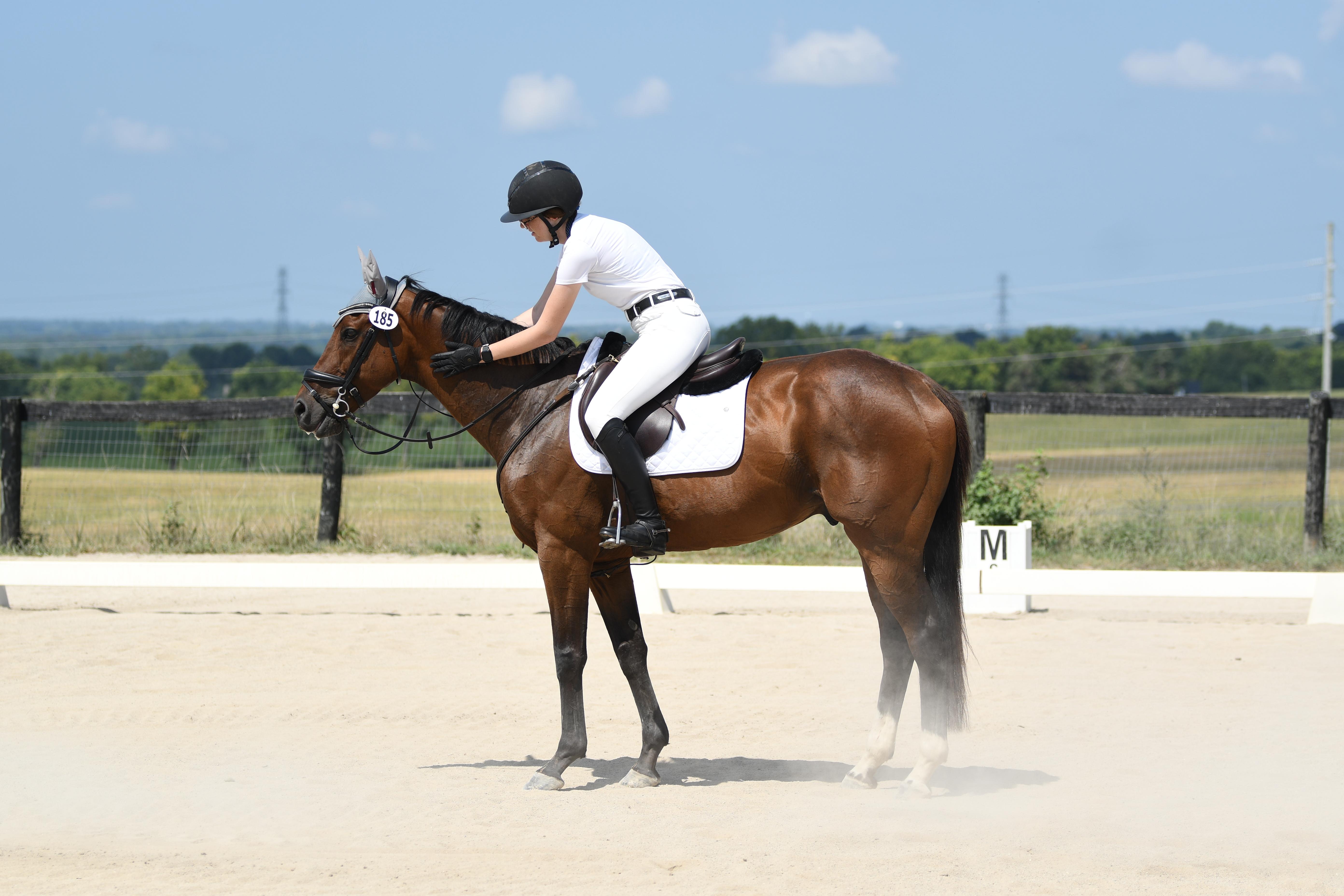Jordan Sigmon, Maverick, Retired Racehorse Project, Thoroughbred Makeover, America's Best Racing, horse racing, ABR
