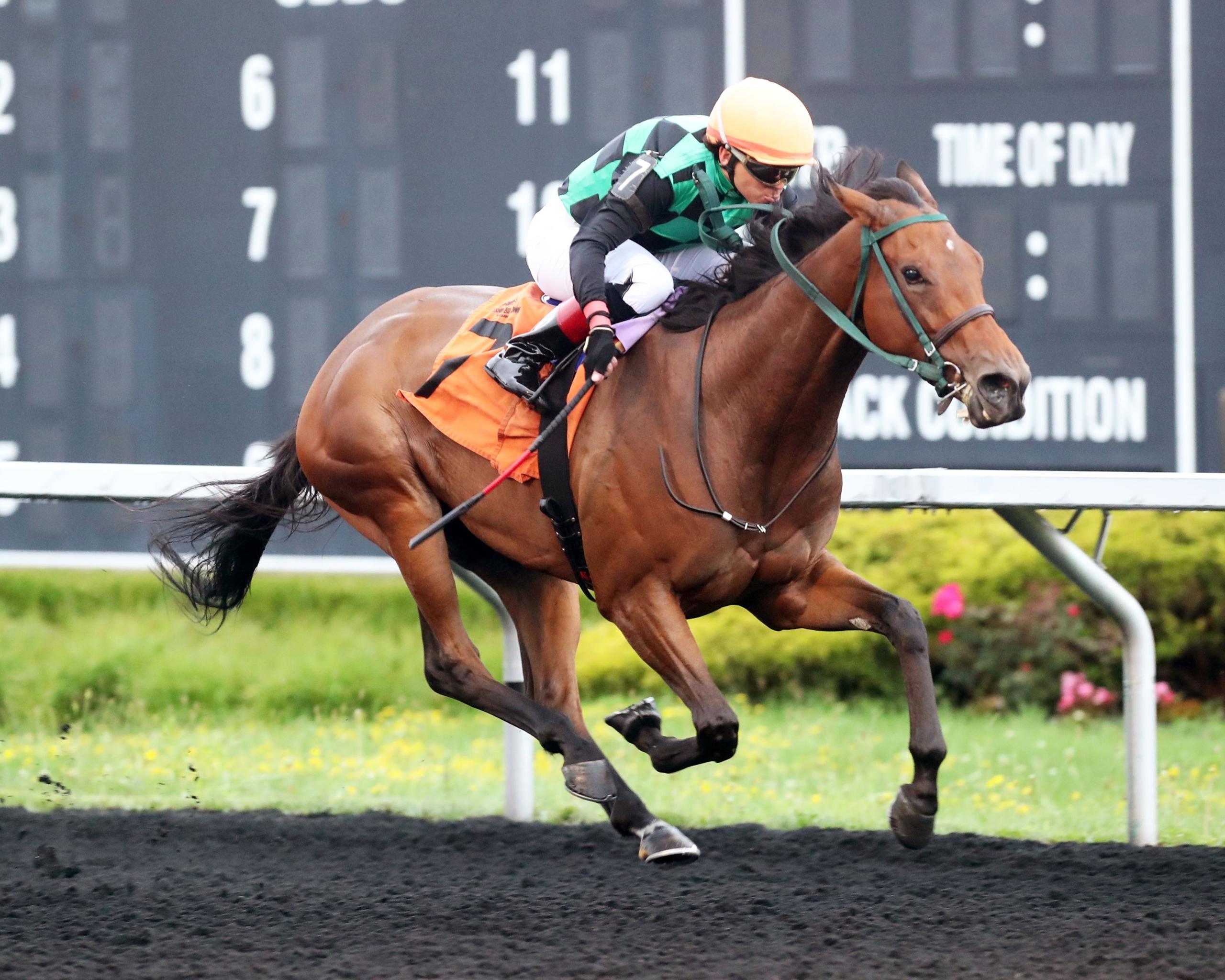 Jill Jitterbug, Presque Isle Downs Masters Stakes, Presque Isle Downs, horse racing, America's Best Racing, ABR Jill Jitterbug, Presque Isle Downs Masters Stakes, Presque Isle Downs, horse racing, America's Best Racing, ABR