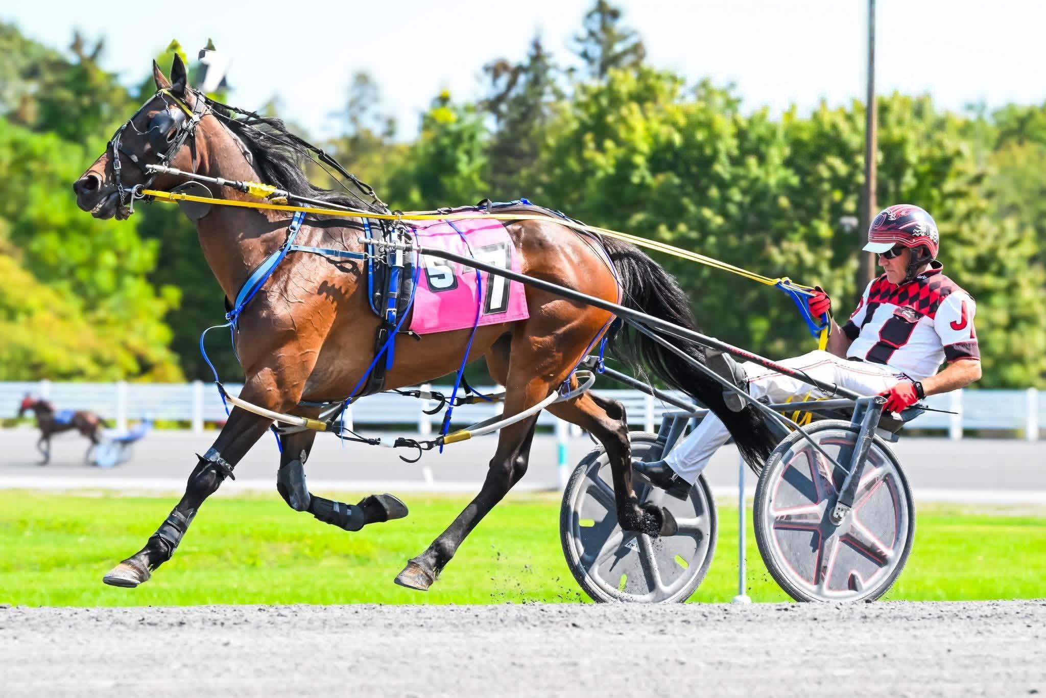 Golden Tempo, Cherie DeVaux, Belmont Stakes, Triple Crown, Saratoga Race Course, horse racing, America's Best Racing, ABR