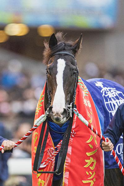 Equinox, Japan Cup, Eclipse Sportswire Equinox, Japan Cup, Eclipse Sportswire