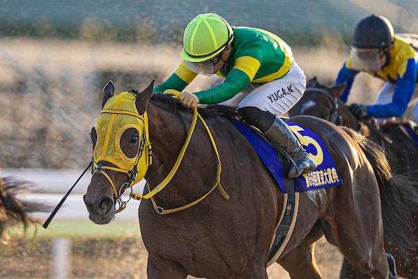 2024 Breeders' Cup Classic Shaping Up as True International