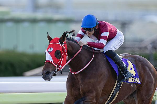 Sovereignty, Forever Young Top First Breeders' Cup Classic Power ...