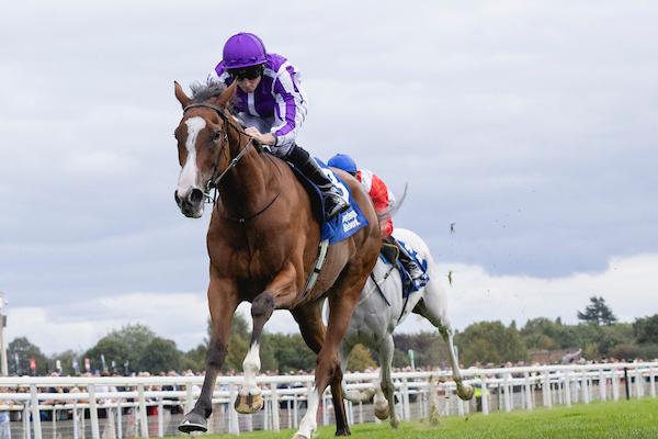 Minnie Hauk, Yorkshire Oaks, Aidan O'Brien, Breeders’ Cup Turf, Del Mar, America's Best Racing, horse racing, ABR Minnie Hauk, Yorkshire Oaks, Aidan O'Brien, Breeders’ Cup Turf, Del Mar, America's Best Racing, horse racing, ABR