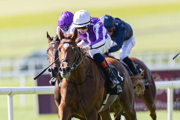 Precise, Breeders' Cup Juvenile Fillies Turf, Future Stars Friday, Del Mar, America's Best Racing, horse racing, ABR