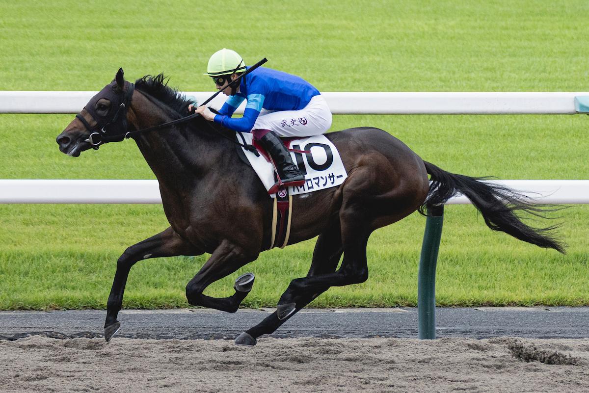 UAE Derby, Pyromancer, Meydan, Triple Crown, Kentucky Derby, America's Best Racing, ABR, horse racing UAE Derby, Pyromancer, Meydan, Triple Crown, Kentucky Derby, America's Best Racing, ABR, horse racing