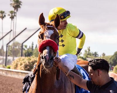 Hatonah, Vasser Photography, Pacific Classic, Del Mar, Breeders' Cup Classic