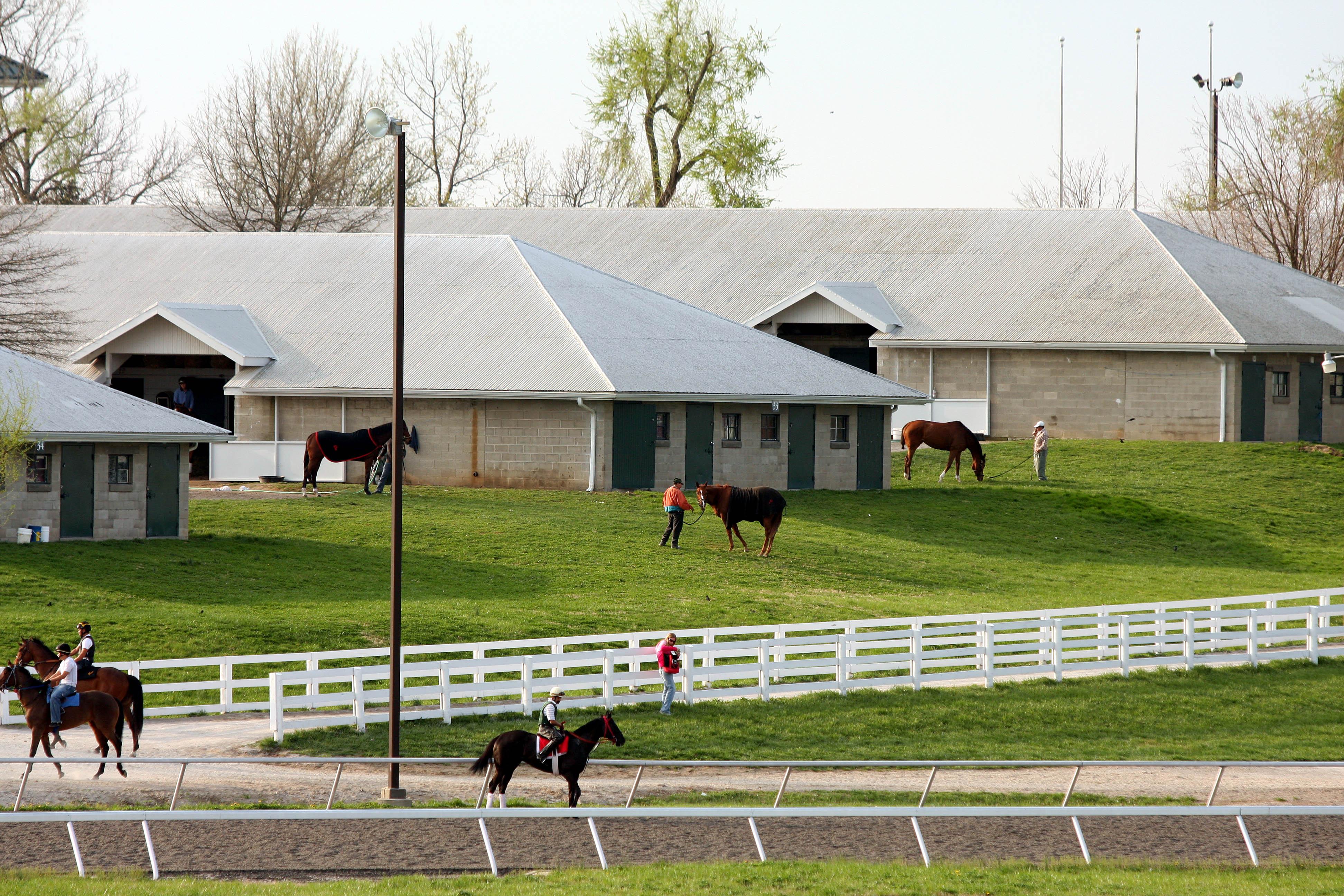 The backside at Keeneland