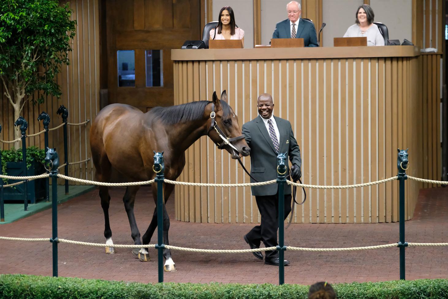 A horse surprises the "Top Chef" crew in the Keeneland sales ring. (Keeneland photo) A horse surprises the "Top Chef" crew in the Keeneland sales ring.