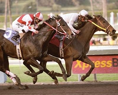 Kona Gold, 2000 Breeders’ Cup Sprint, Churchill Downs, Eclipse Award, Hall of Fame, horse racing, America's Best Racing, ABR Kona Gold, 2000 Breeders’ Cup Sprint, Churchill Downs, Eclipse Award, Hall of Fame, horse racing, America's Best Racing, ABR
