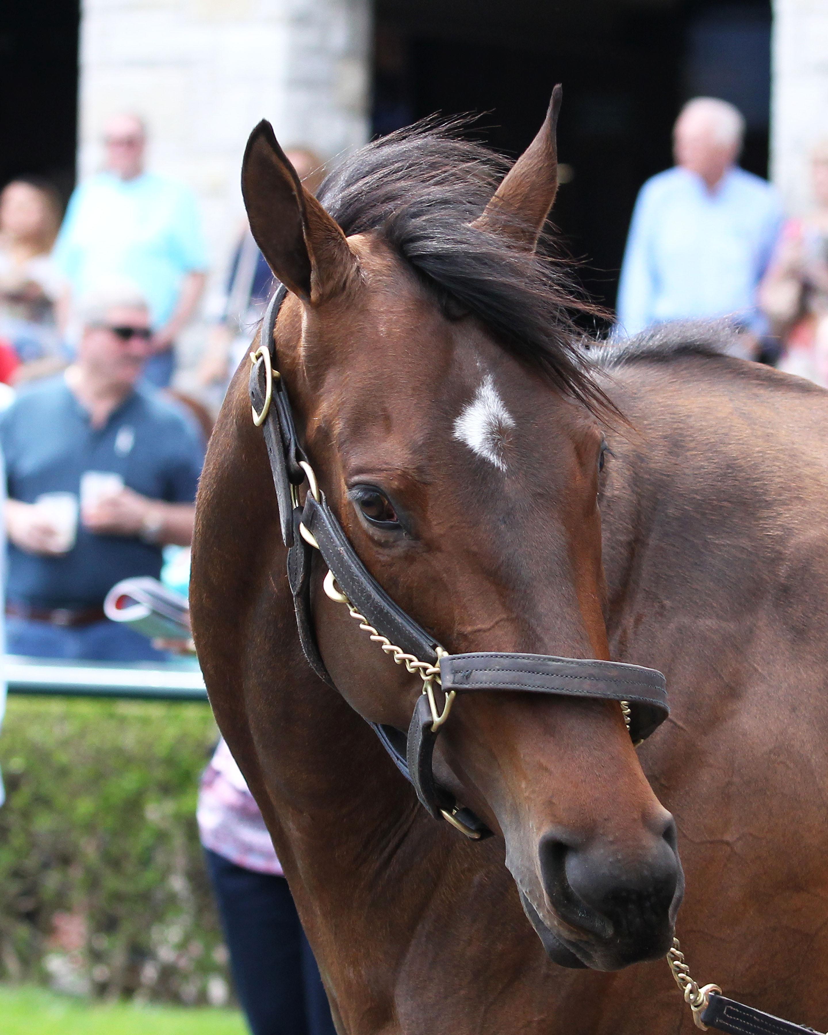 ABR Wired: Unforgettable Breeders' Cup with Paul Lo Duca 