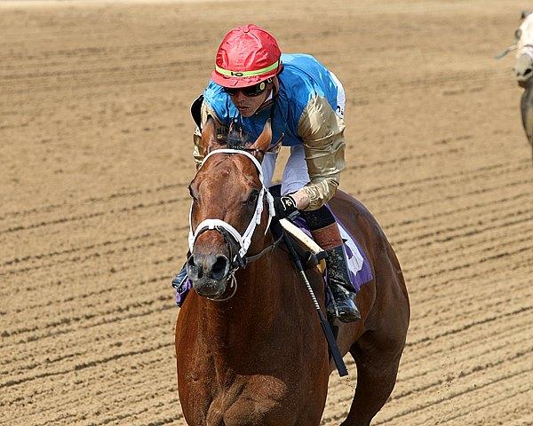 Leading Change, Indiana Derby, Horseshoe Indianapolis, America's Best Racing, ABR, horse racing, Triple Crown