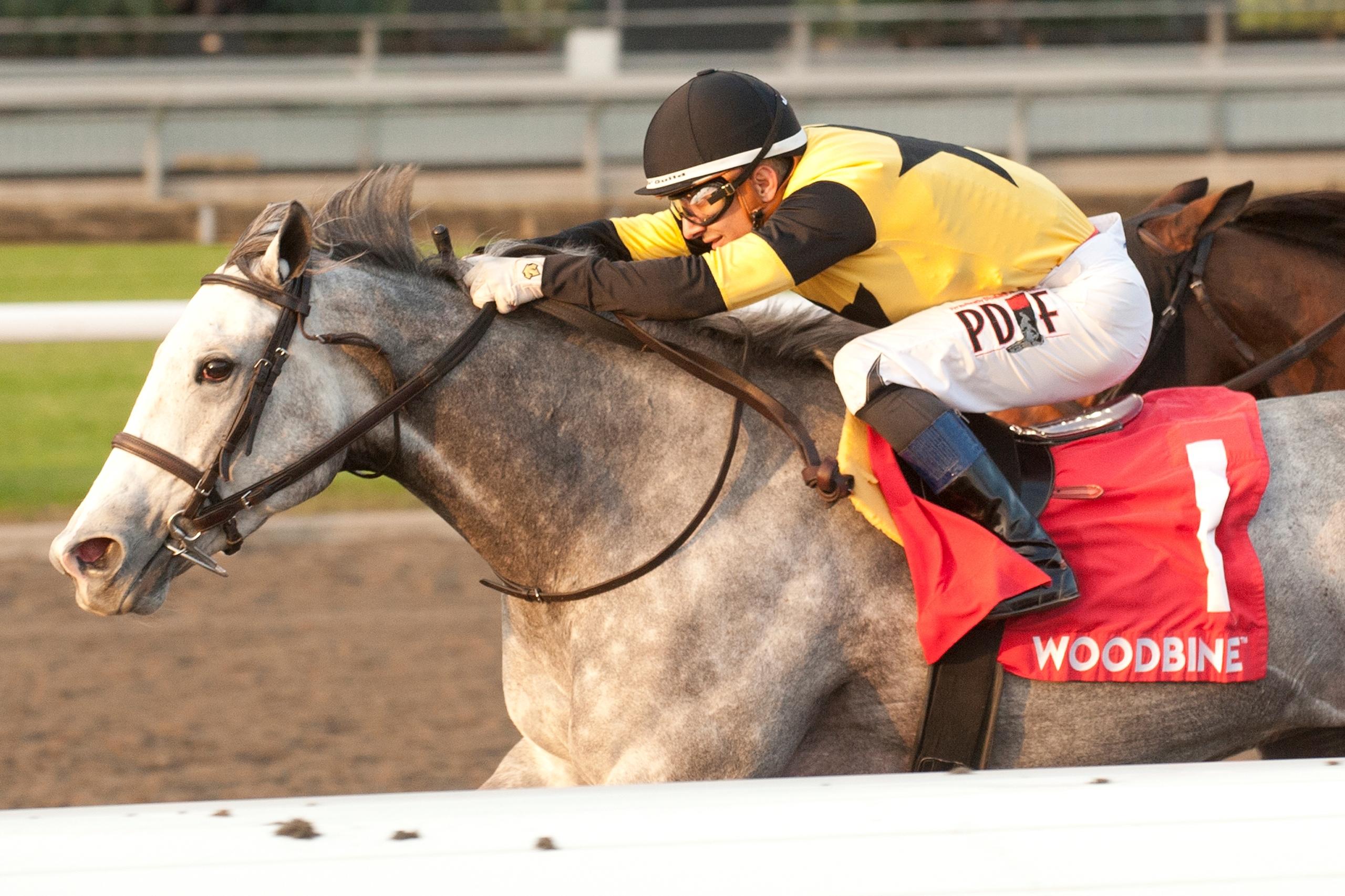 Les Reys, Presque Isle Downs Masters Stakes, Presque Isle Downs, horse racing, America's Best Racing, ABR Les Reys, Presque Isle Downs Masters Stakes, Presque Isle Downs, horse racing, America's Best Racing, ABR