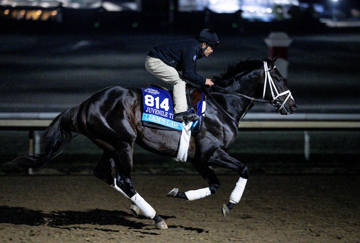 Liam's Law, Breeders' Cup Juvenile Turf, Keeneland, Breeders' Cup, horse racing, America's Best Racing, ABR