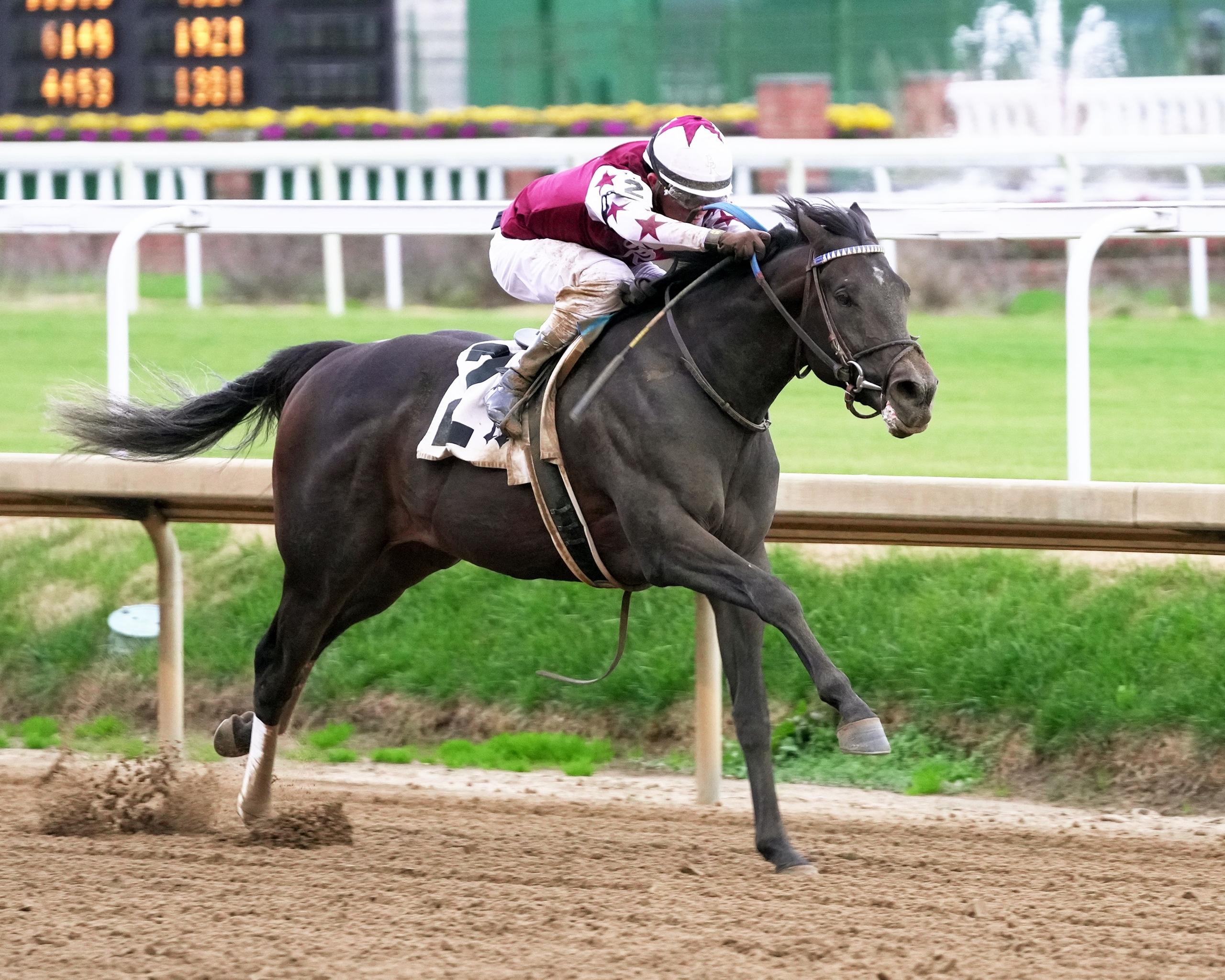 Liberty National, Southwest Stakes, Oaklawn Park, America's Best Racing, ABR, horse racing