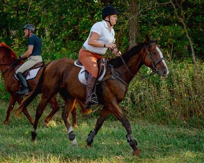 Kelsey Kreutzer, Lonesome Pine, Thoroughbred Aftercare Alliance Success Story, America's Best Racing, horse racing, ABR