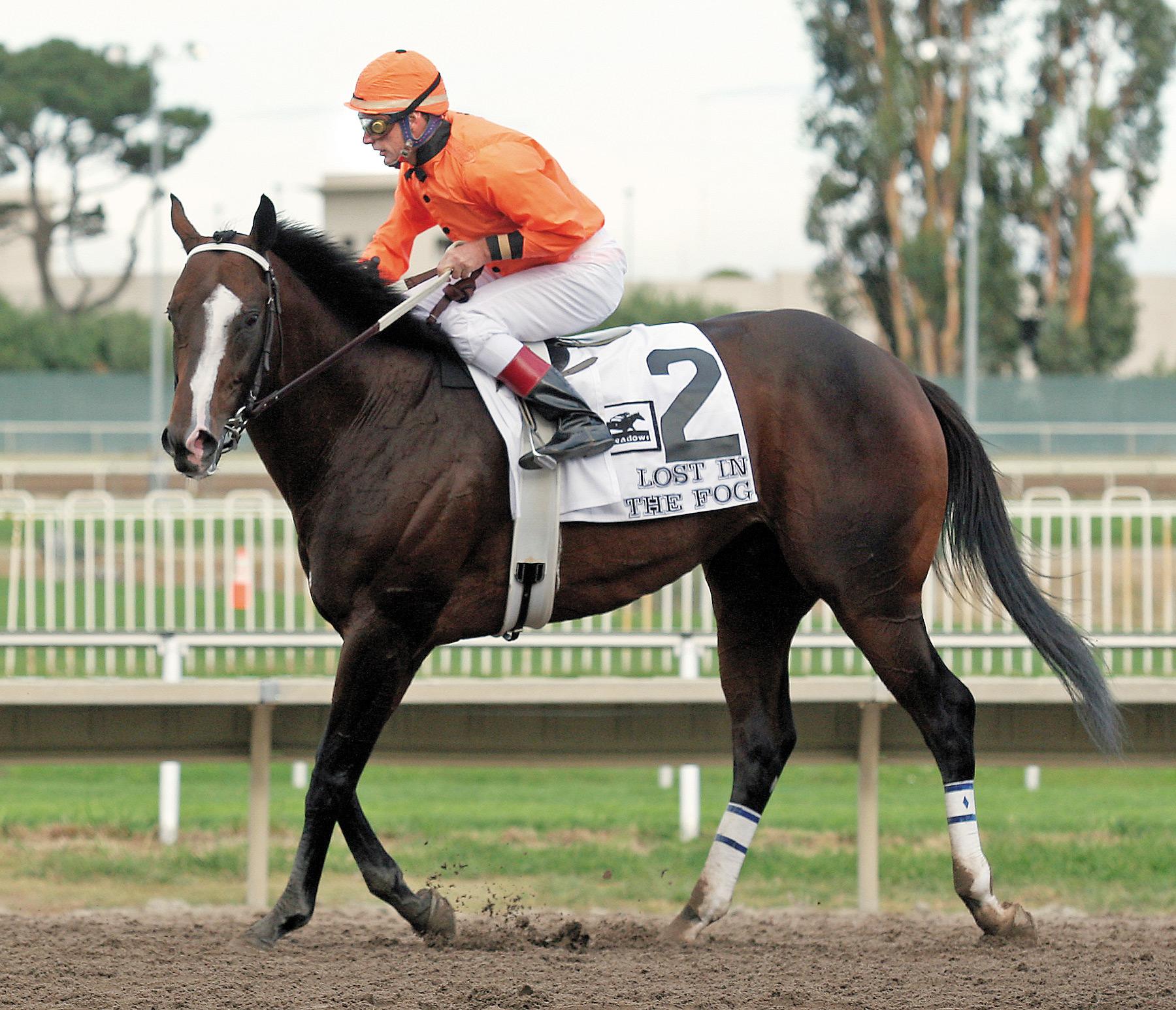 Lost in the Fog and Russell Baze at Bay Meadows.