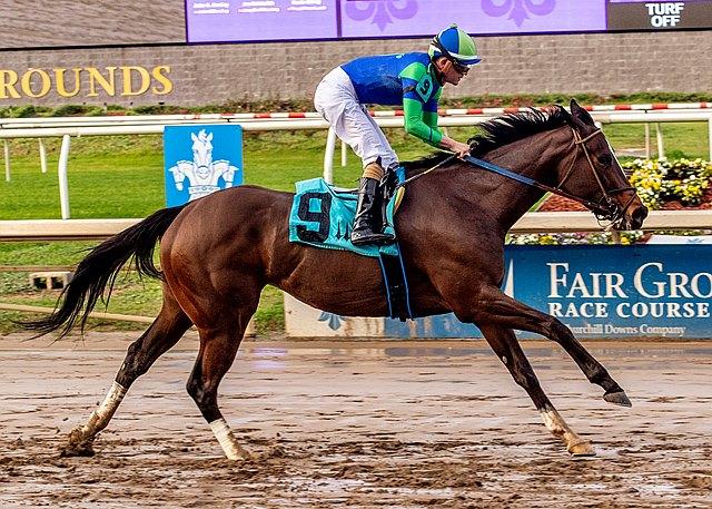 Lotsandlotsofcandy, Fair Grounds, Weekend Winners, Churchill Downs, horse racing, America's Best Racing, ABR