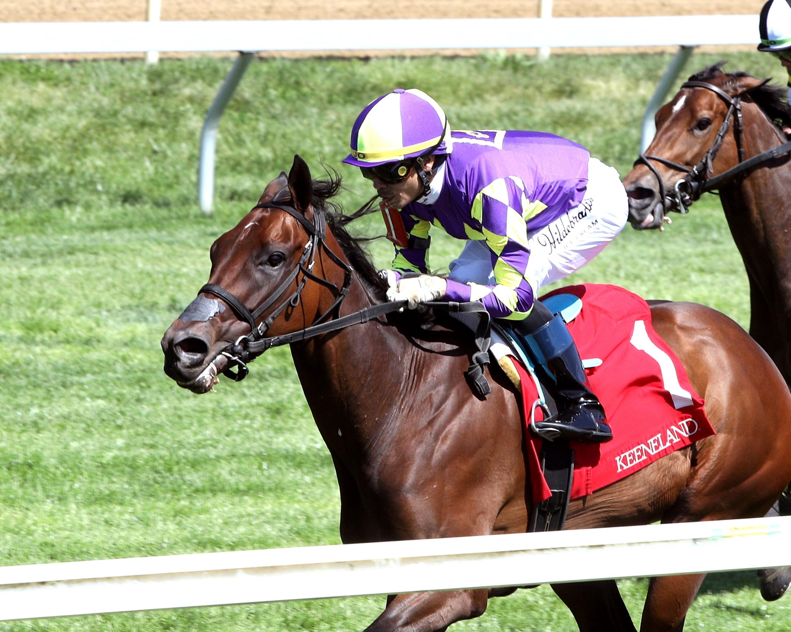 Lovely Emma, Presque Isle Downs Masters Stakes, Presque Isle Downs, horse racing, America's Best Racing, ABR Lovely Emma, Presque Isle Downs Masters Stakes, Presque Isle Downs, horse racing, America's Best Racing, ABR
