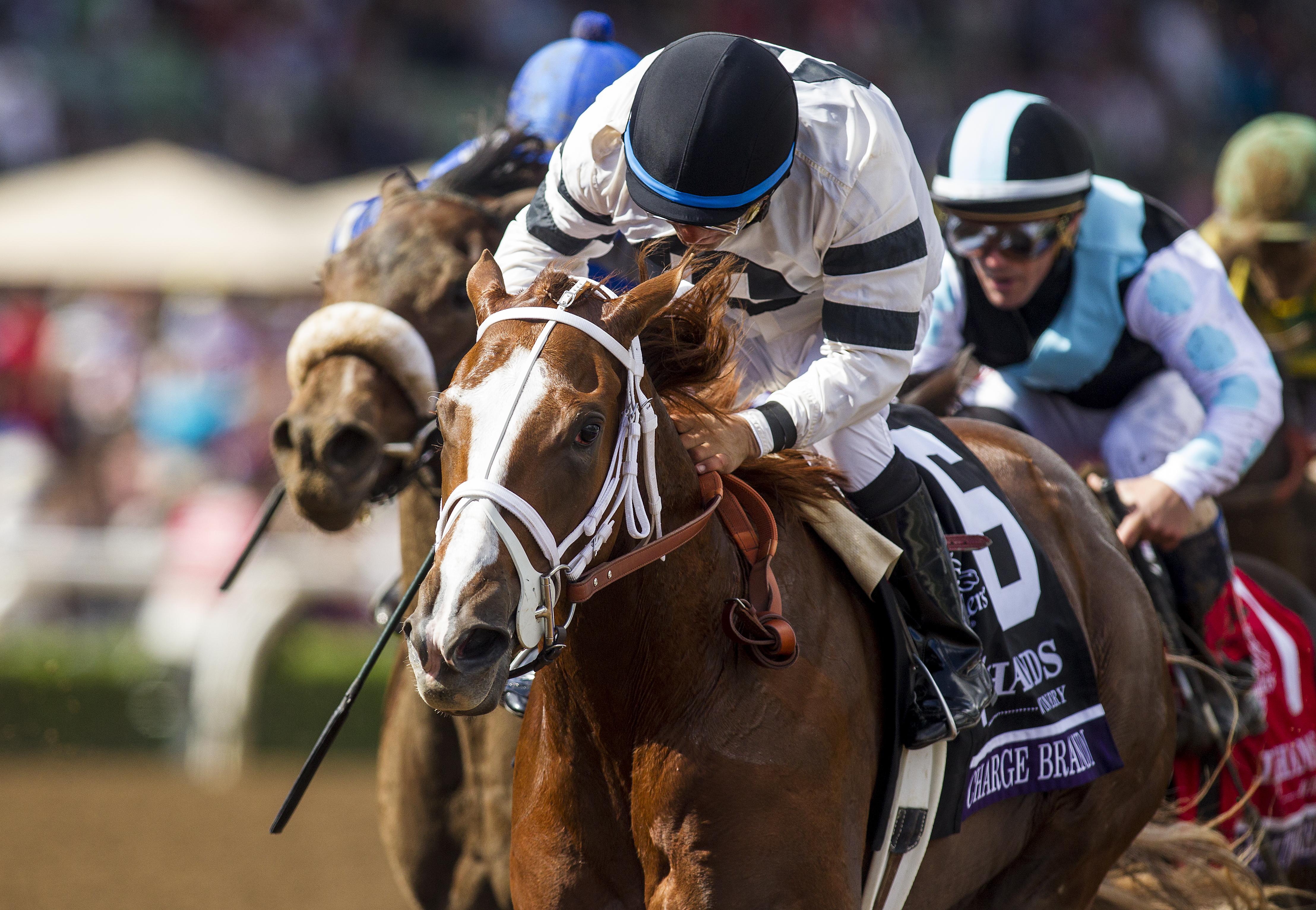 Lukas' Take Charge Brandi wins the 2014 Breeders' Cup Juvenile Fillies.