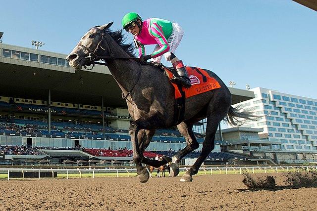Luster, King's Plate, Canadian Triple Crown, Woodbine, horse racing, America's Best Racing, ABR Luster, King's Plate, Canadian Triple Crown, Woodbine, horse racing, America's Best Racing, ABR