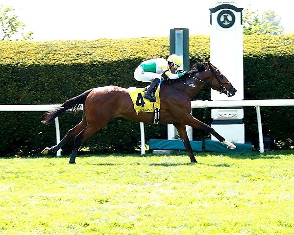 Magical Factor, King's Plate, Canadian Triple Crown, Woodbine, horse racing, America's Best Racing, ABR Magical Factor, King's Plate, Canadian Triple Crown, Woodbine, horse racing, America's Best Racing, ABR