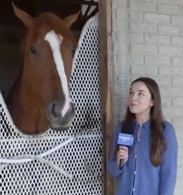 Big-Race Showdown, Ashley Mailloux, America's Best Racing, horse racing, ABR Big-Race Showdown, Ashley Mailloux, America's Best Racing, horse racing, ABR