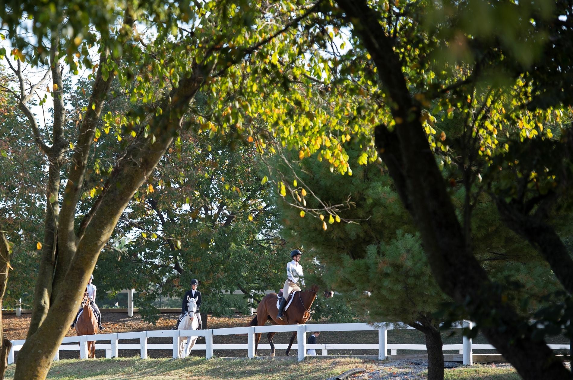 Retired Racehorse Project, Thoroughbred Makeover, Aftercare, horse racing, America's Best Racing, ABR Retired Racehorse Project, Thoroughbred Makeover, Aftercare, horse racing, America's Best Racing, ABR