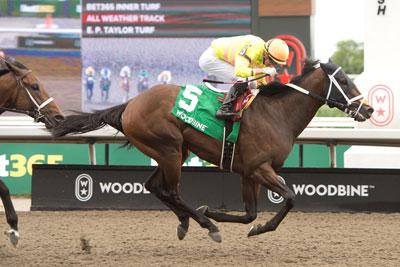 Mansetti, King's Plate, Woodbine, America's Best Racing, horse racing, ABR
