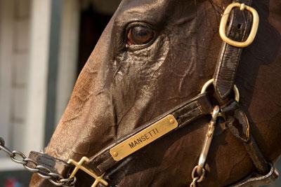 Mansetti, Al Ulwelling, Bill Ulwelling, King's Plate, Woodbine, Fort Erie, Prince of Wales, Kevin Attard, America's Best Racing, horse racing, ABR