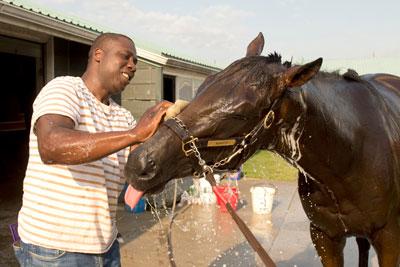 Mansetti, Al Ulwelling, Bill Ulwelling, King's Plate, Woodbine, Fort Erie, Prince of Wales, Kevin Attard, America's Best Racing, horse racing, ABR