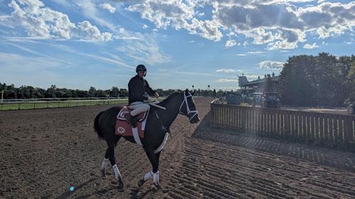Mansetti, Al Ulwelling, Bill Ulwelling, King's Plate, Woodbine, Fort Erie, Prince of Wales, Kevin Attard, America's Best Racing, horse racing, ABR