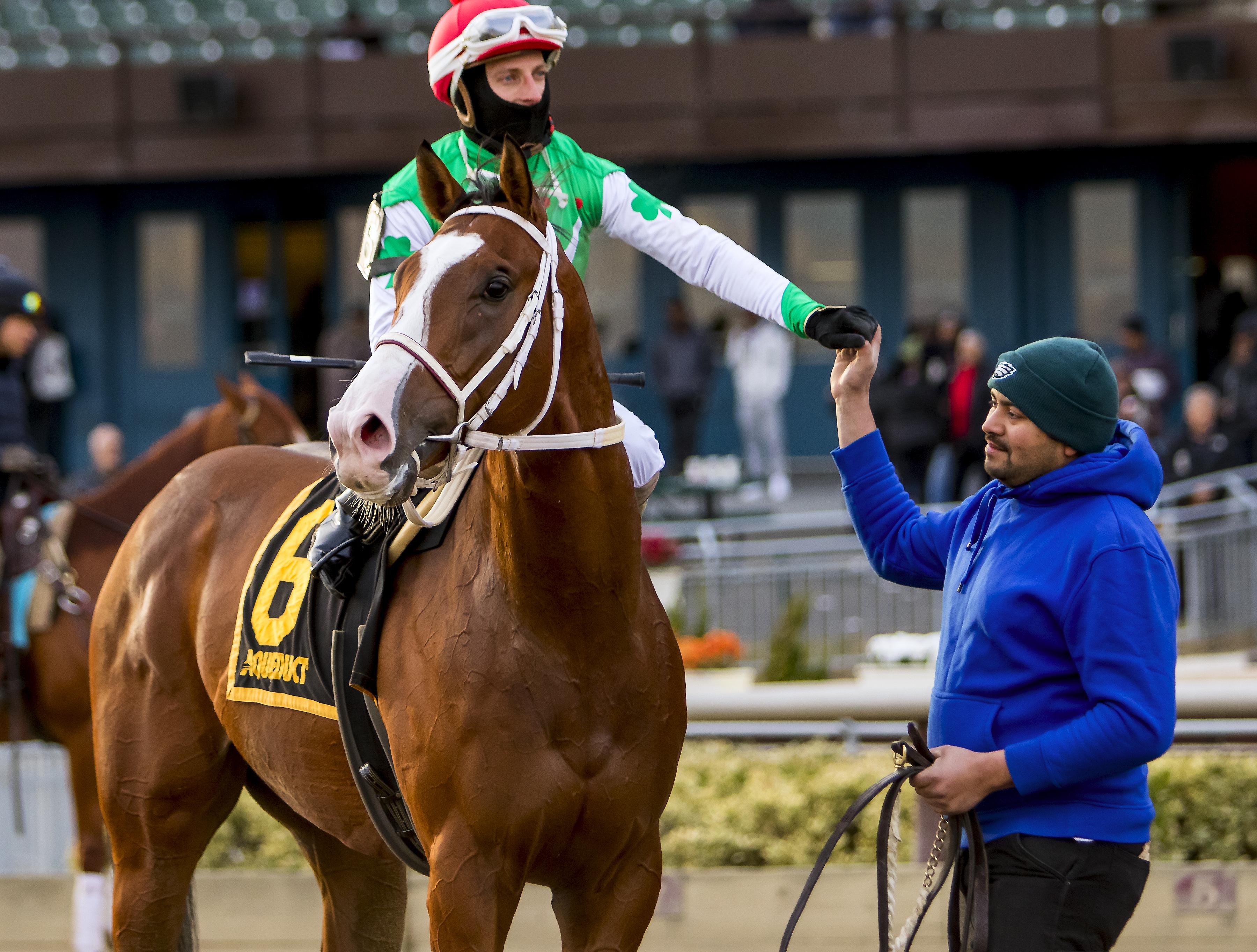 Maximus Mischief after winning the Remsen
