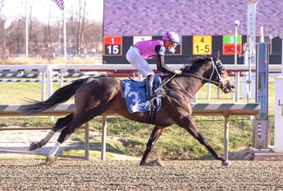 Mika, Cigar Mile Stakes, Aqueduct, America's Best Racing, horse racing, ABR Mika, Cigar Mile Stakes, Aqueduct, America's Best Racing, horse racing, ABR