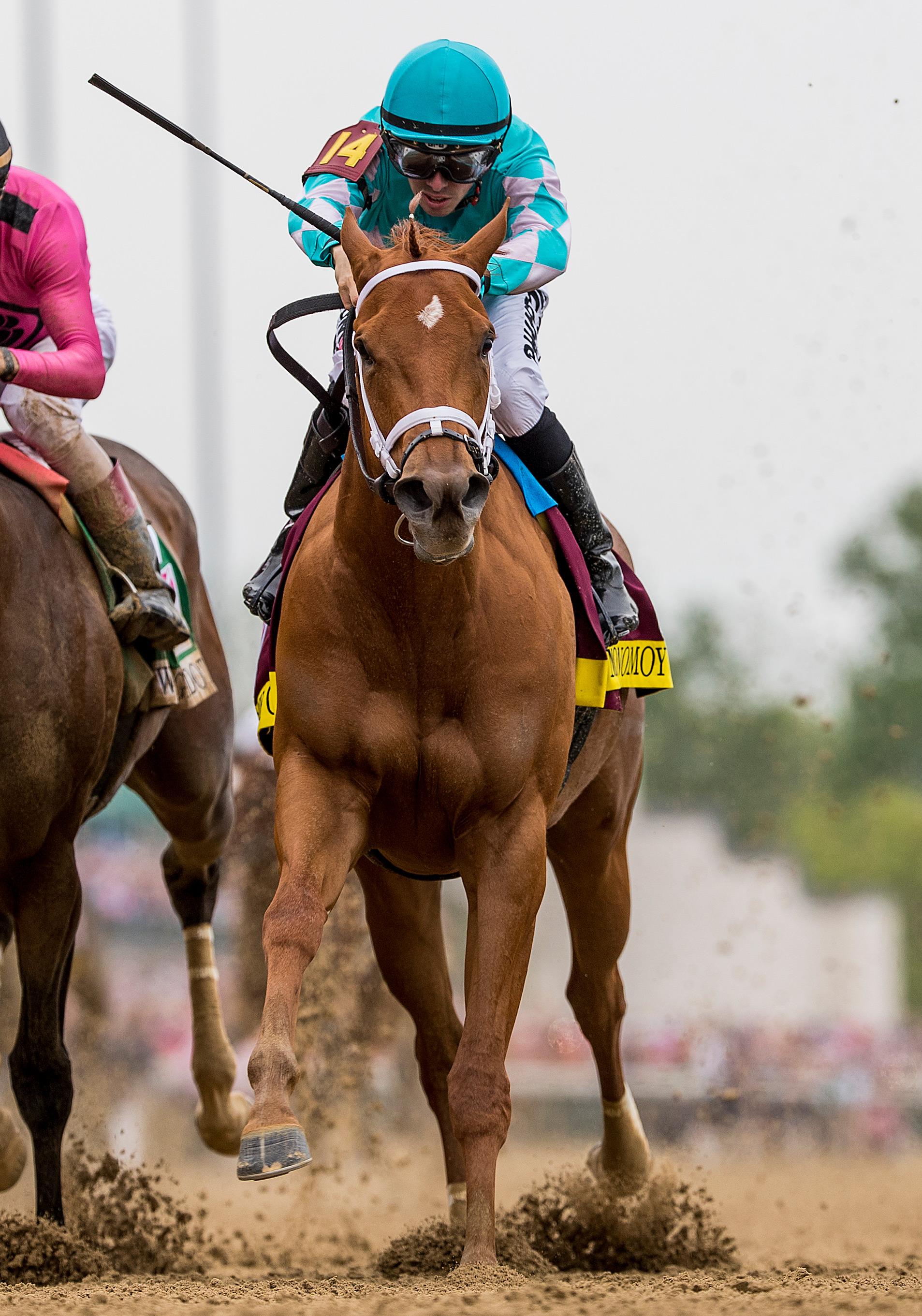 Monomoy Girl