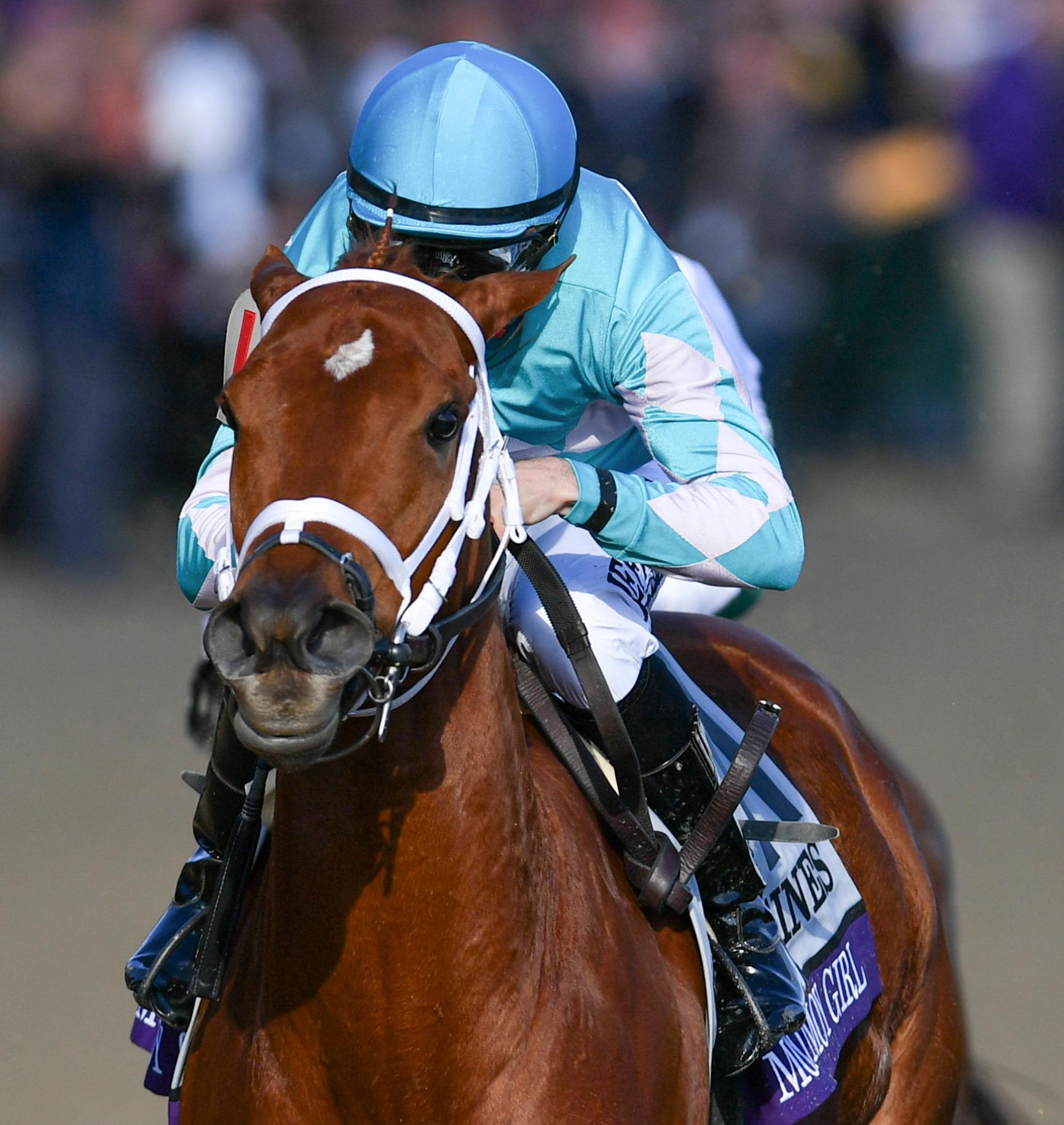Monomoy Girl