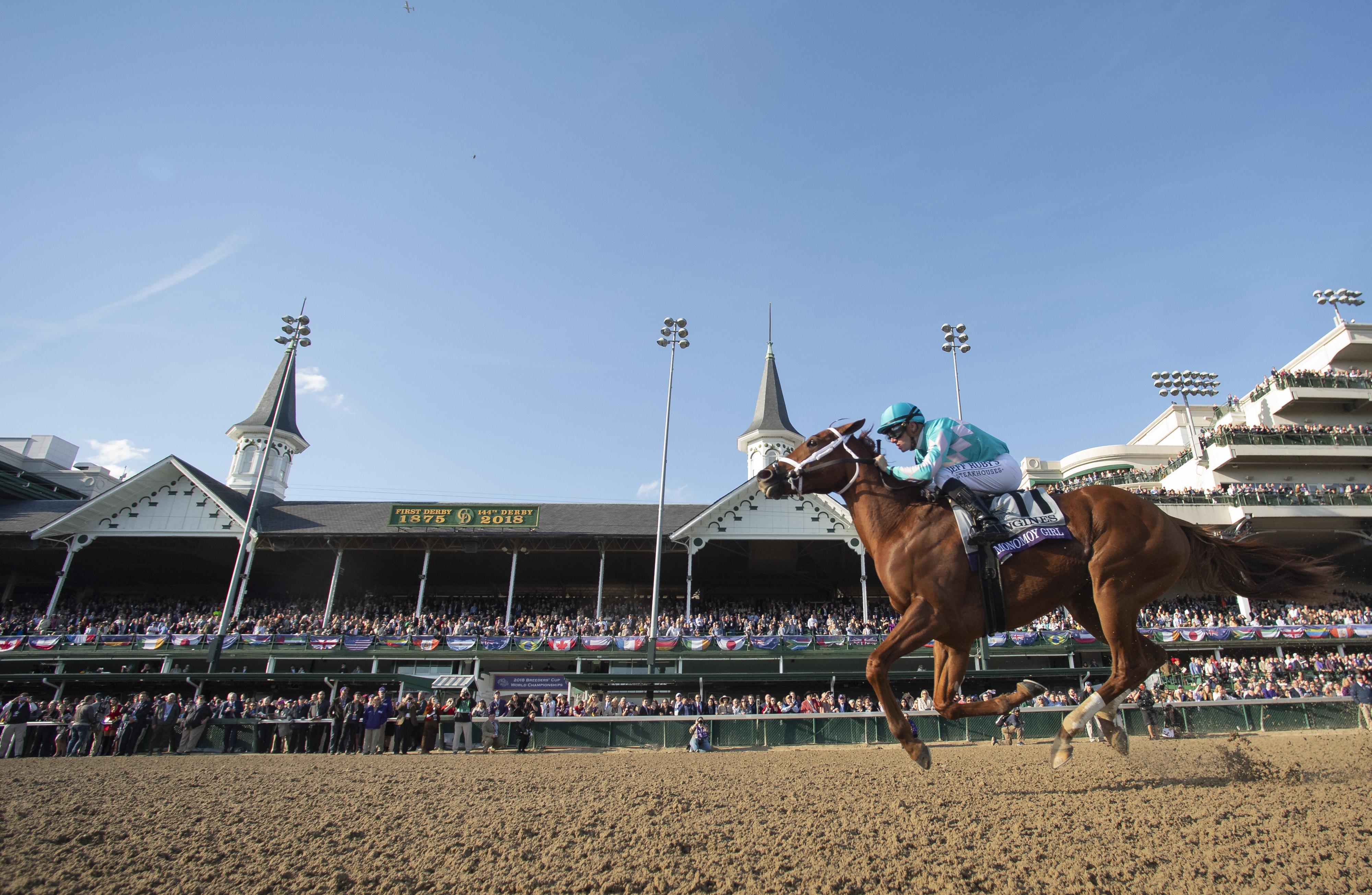 Monomoy Girl wins the Breeders' Cup Distaff