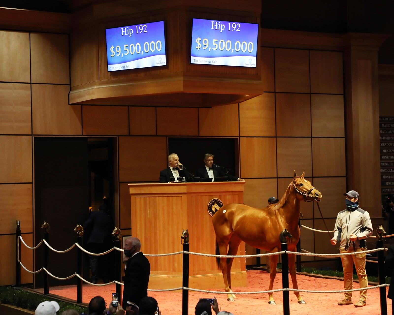 Fasig-Tipton November, Monomoy Girl, America's Best Racing, horse racing, ABR Fasig-Tipton November, Monomoy Girl, America's Best Racing, horse racing, ABR