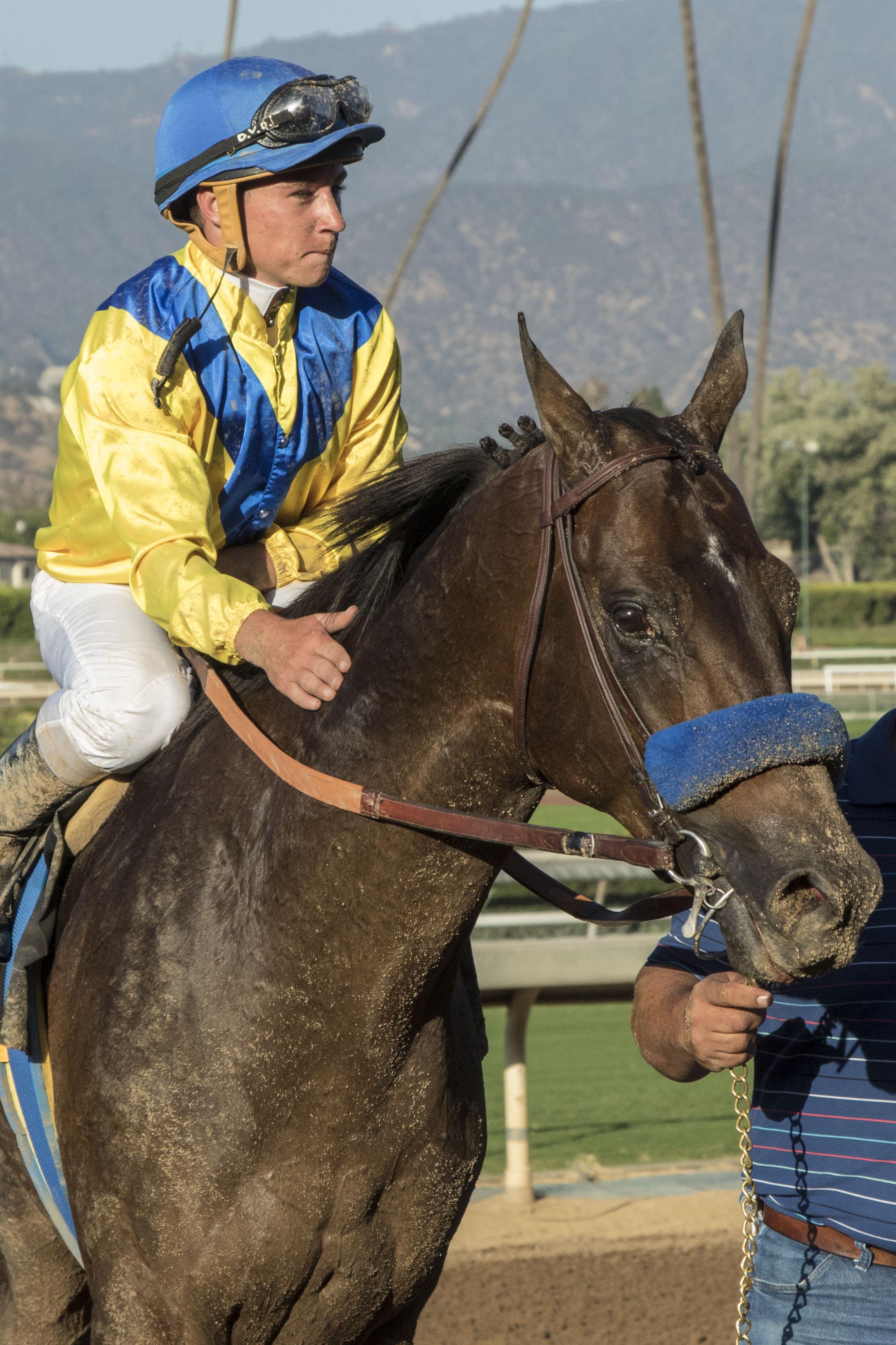 Mubtaahij after his Awesome Again win. (Eclipse Sportswire) Mubtaahij after his Awesome Again win.