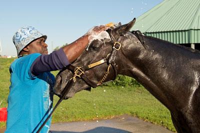 My Boy Prince, King's Plate, Woodbine, Michael Burns My Boy Prince, King's Plate, Woodbine, Michael Burns