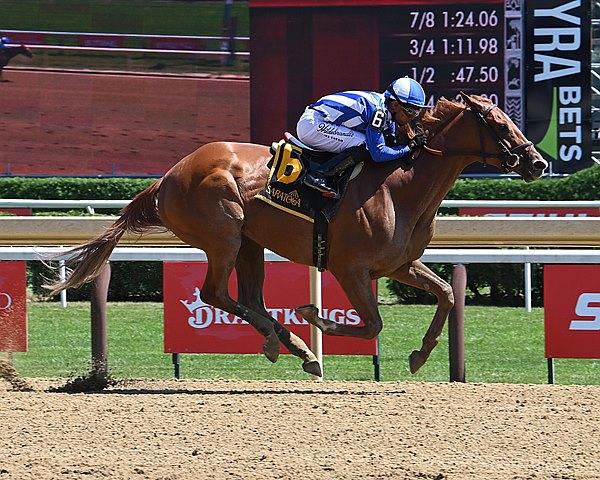 My Gun's Loaded, Alabama Stakes, Saratoga Race Course, horse racing, America's Best Racing, ABR