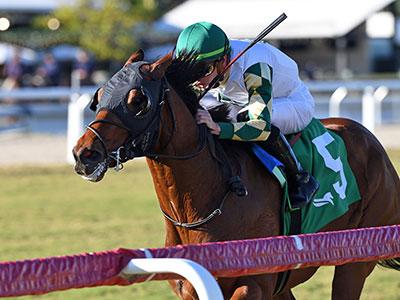 Mythical Man, King's Plate, Woodbine, America's Best Racing, horse racing, ABR