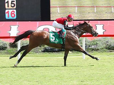 Naptown, Woodbine, Woodbine Mile, America's Best Racing, horse racing, ABR