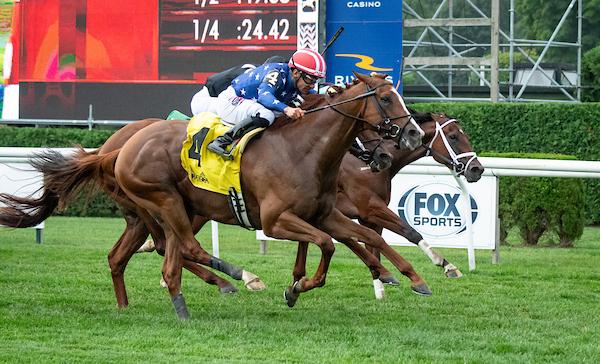 Neat, Fourstardave, Saratoga Race Course, Breeders' Cup Mile, America's Best Racing, horse racing, ABR