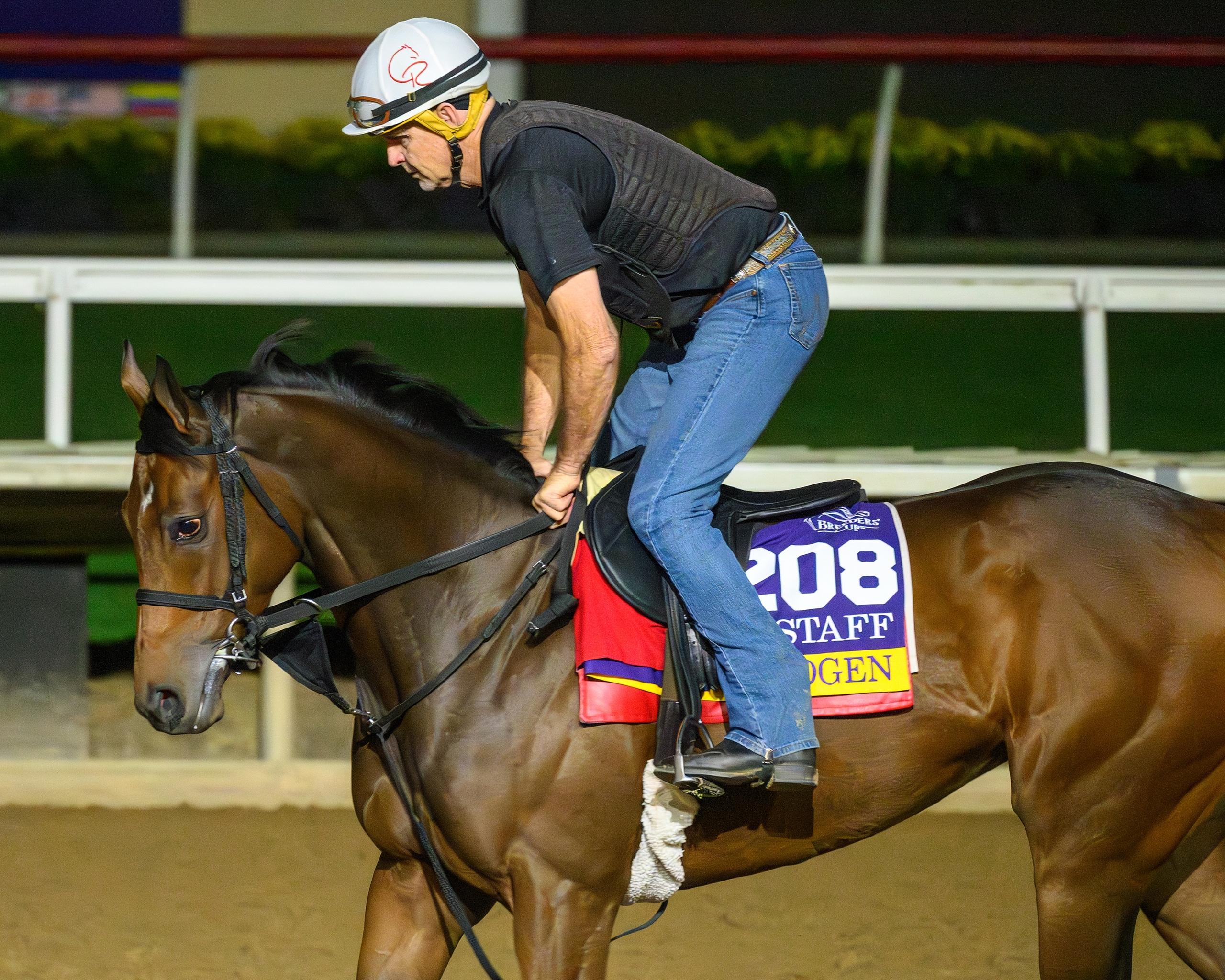 Nitrogen, Longines Breeders' Cup Distaff, Del Mar, America's Best Racing, horse racing, ABR  Nitrogen, Longines Breeders' Cup Distaff, Del Mar, America's Best Racing, horse racing, ABR