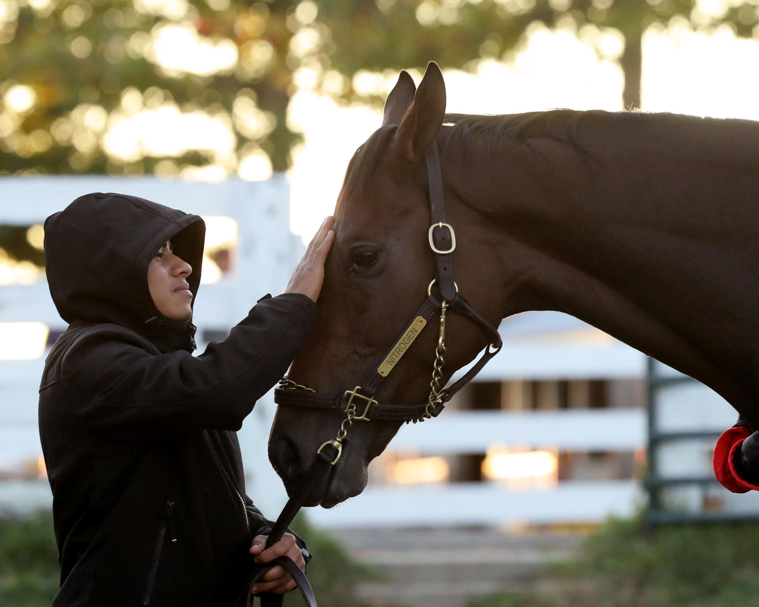 Nitrogen, Breeders' Cup Distaff, Keeneland, horse racing, America's Best Racing, ABR Nitrogen, Breeders' Cup Distaff, Keeneland, horse racing, America's Best Racing, ABR