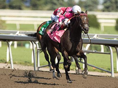 No Time, King's Plate, Woodbine, America's Best Racing, horse racing, ABR