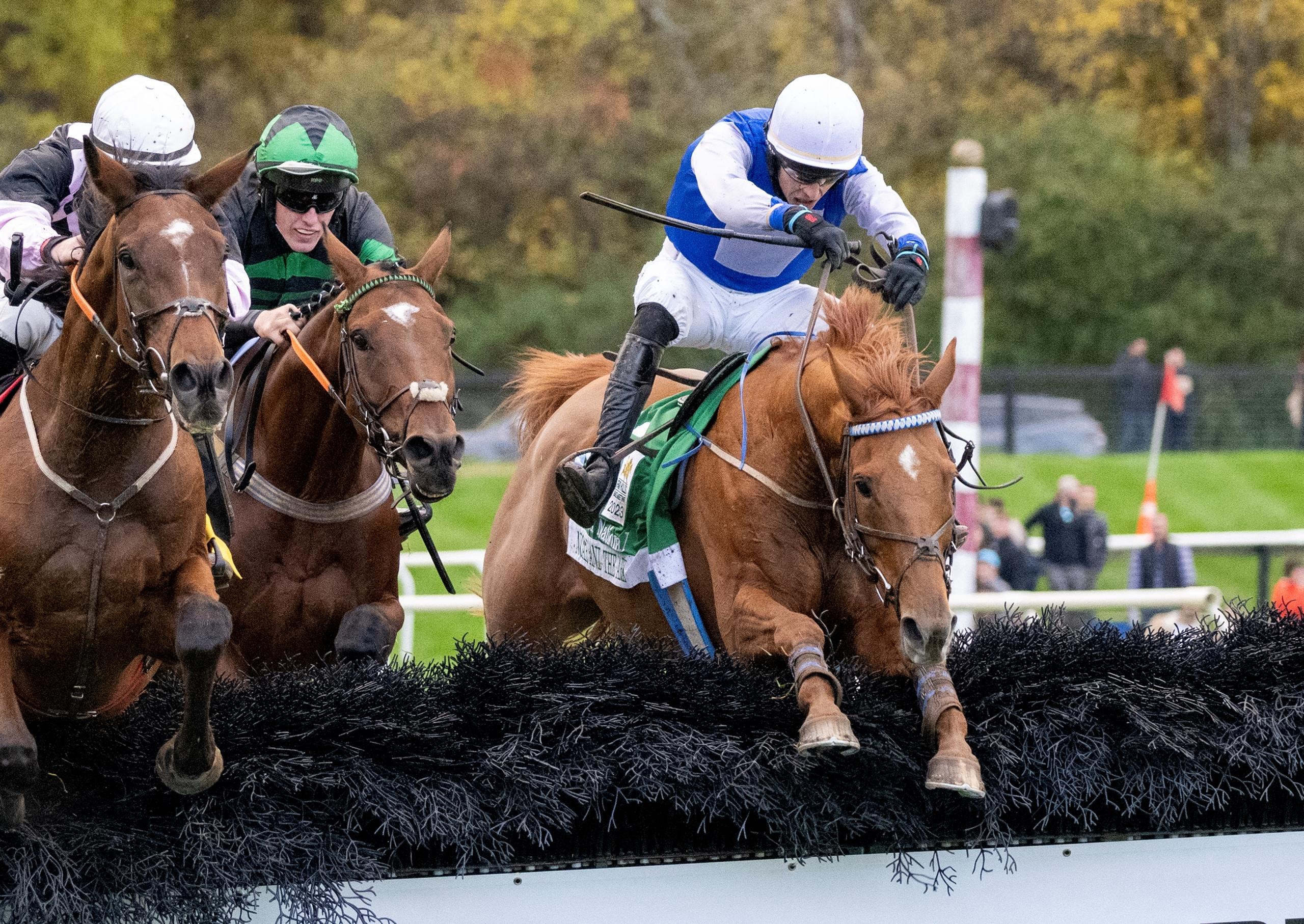 Noah And The Ark, American Grand National Steeplechase, Far Hills Race Meeting, Skip Dickstein, America's Best Racing, horse racing, ABR
