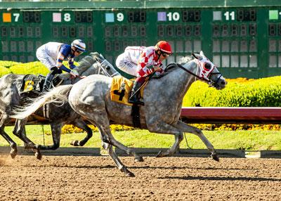 None Above The Law, BENOIT, Pacific Classic, Del Mar, Breeders' Cup Classic