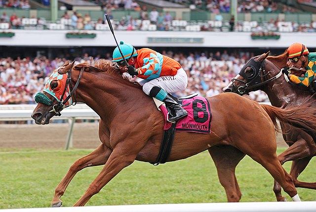 Nothing Better, Wolf Hill Stakes, Haskell Stakes, Monmouth Park, horse racing, America's Best Racing, ABR Nothing Better, Wolf Hill Stakes, Haskell Stakes, Monmouth Park, horse racing, America's Best Racing, ABR