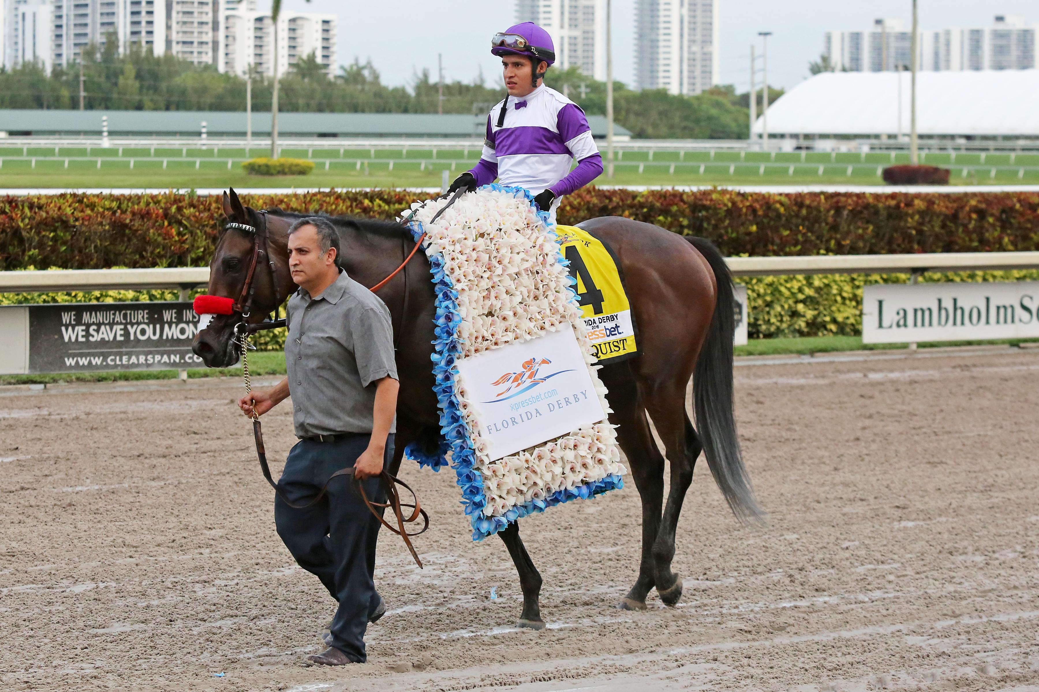 Nyquist after winning the 2016 Florida Derby